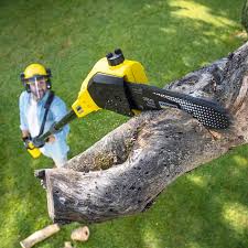  Islip Terrace, NY Tree Removal Pros